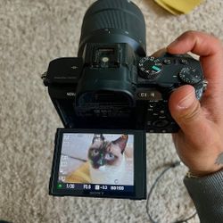 SONY.           CAMERA.               A7III 