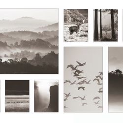 Picture, set of 9, in nature, 70 ½x44"