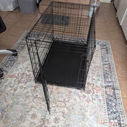 Large Steel Wire Dog Crate - Pet Kennel - Cat 2 Animal Divider