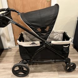 2in1 Stroller Wagon 
