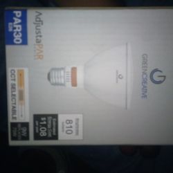 Several Light Bulbs for sale 15$a Peice