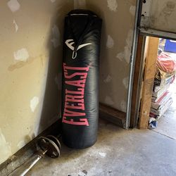 Everlast Heavybag