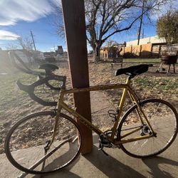 Cannondale Race Bike