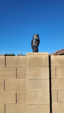 Owl decoy