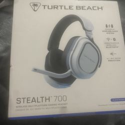 Turtle Beach Gaming Headset