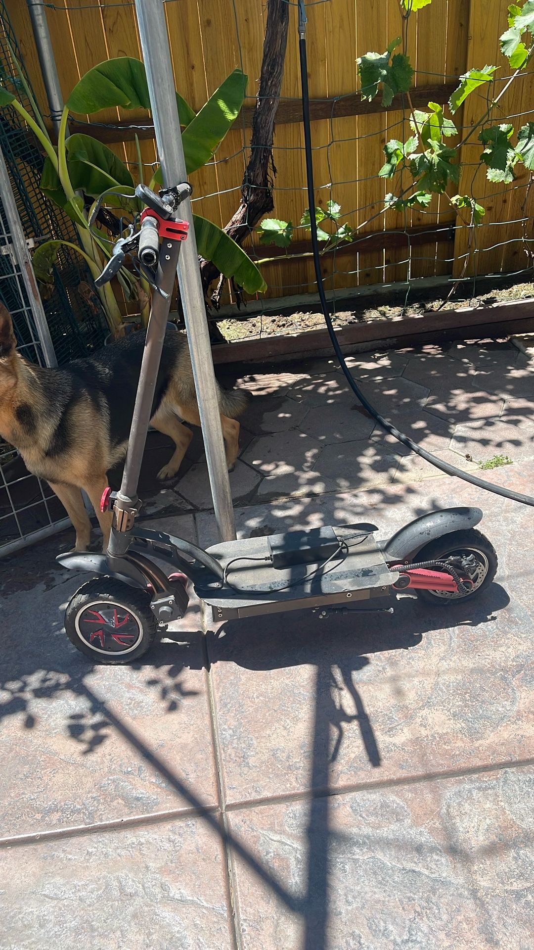 Electric Scooter 
