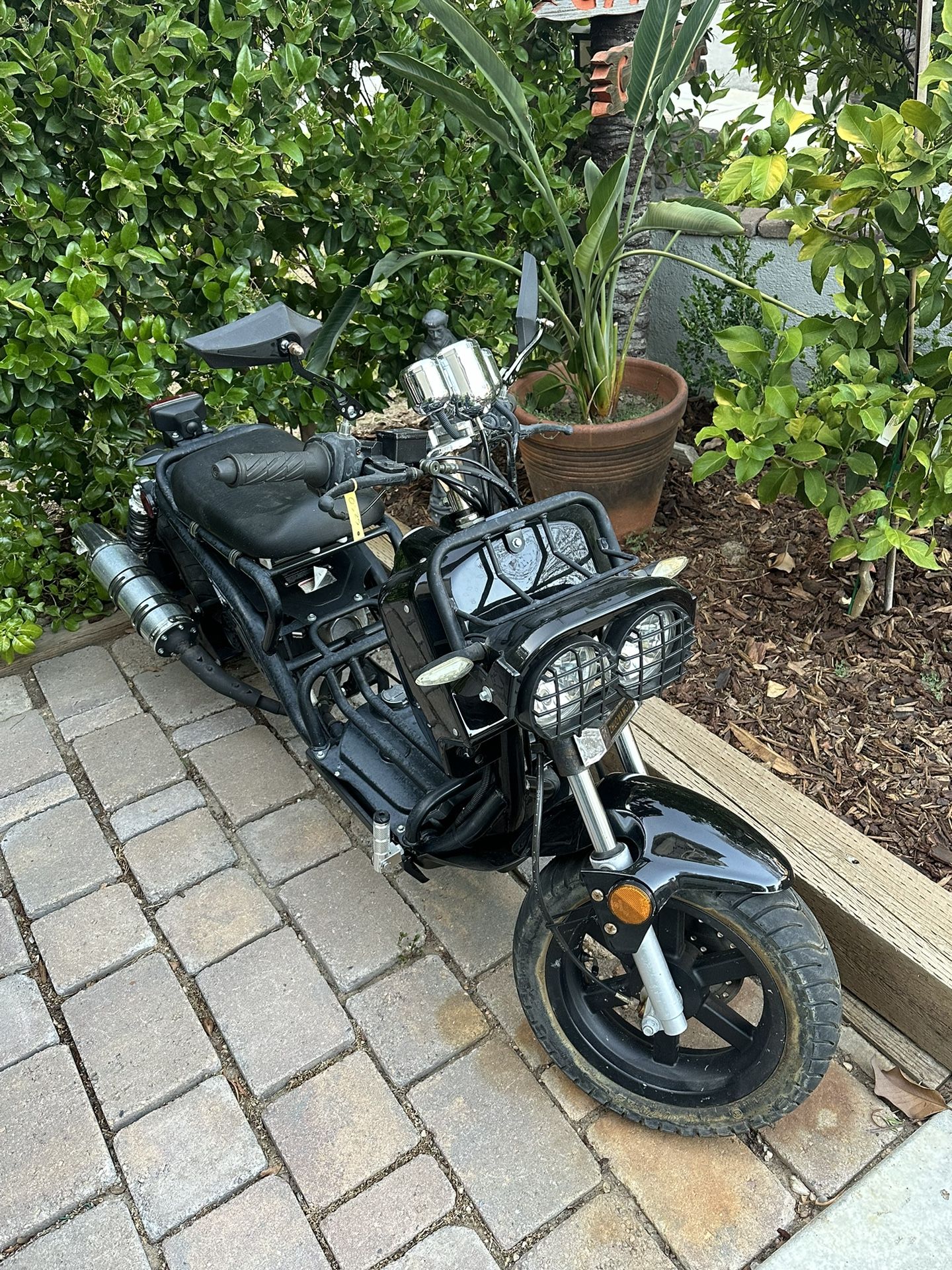 Mini 49cc Fat Tire Bike .  -$100. ($650.00)!!