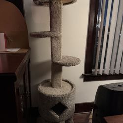 Tall Cat Tower
