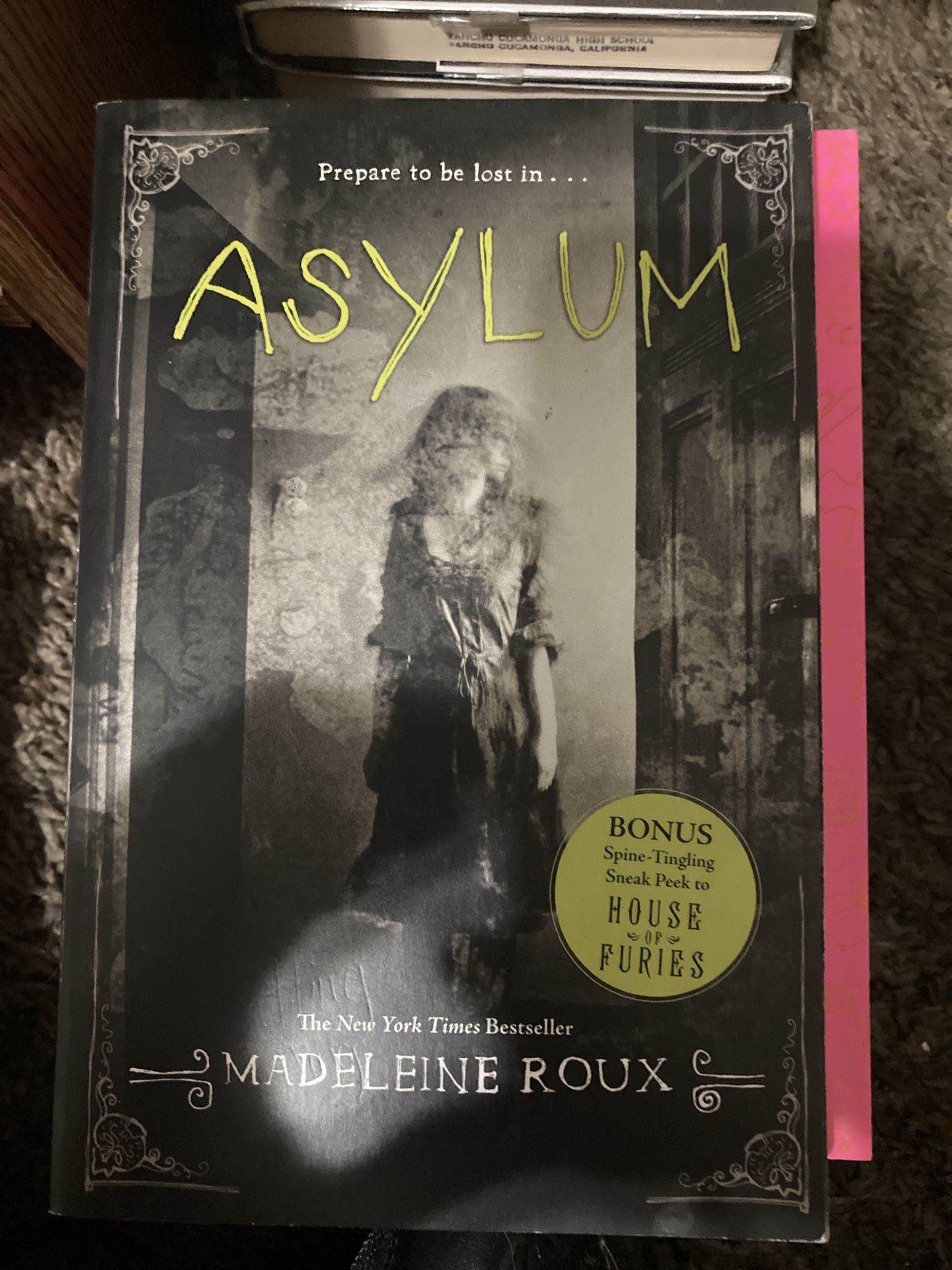 Asylum