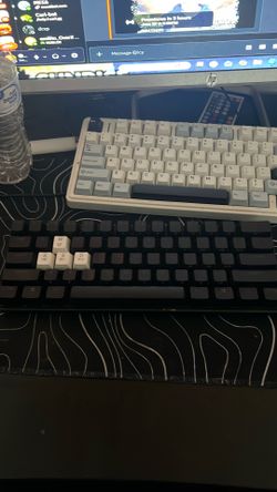Apex pro mini (steel series)