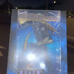 Alien Vs Predator (chrysalis Alien) Neca Toy Figure