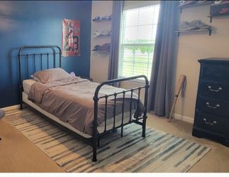 Blue stripe rug