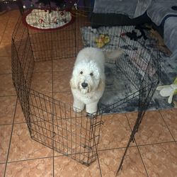 Corralito Y Cama Elevada