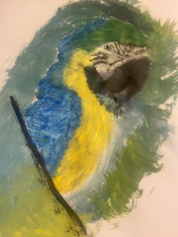 Parrot painting!!
