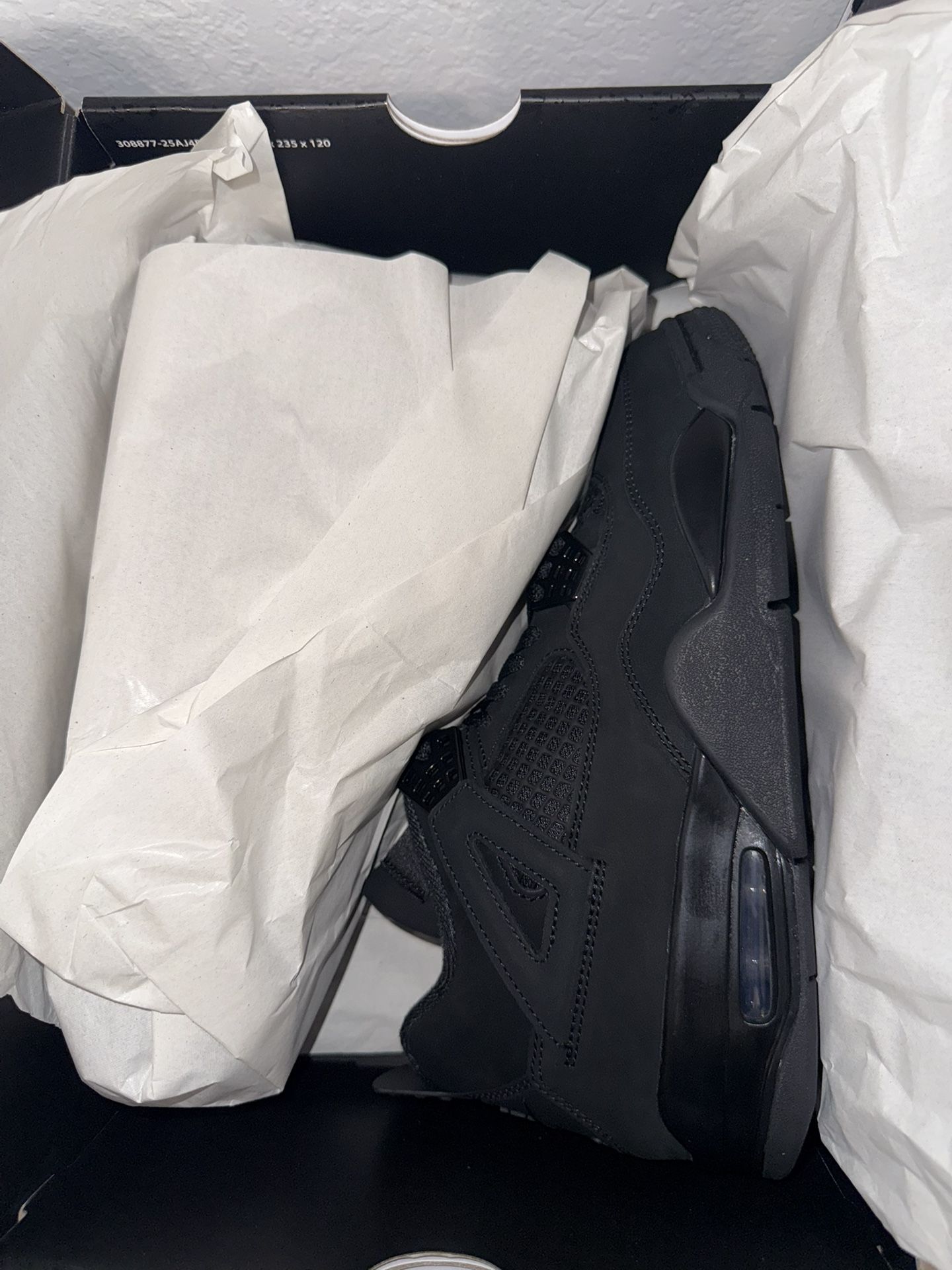 Air Jordan 4 Retro Black Cat