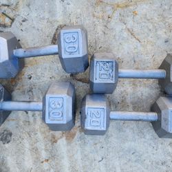 20/30 Pound Dumbbells
