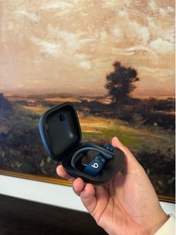 Beats - Powerbeats Pro