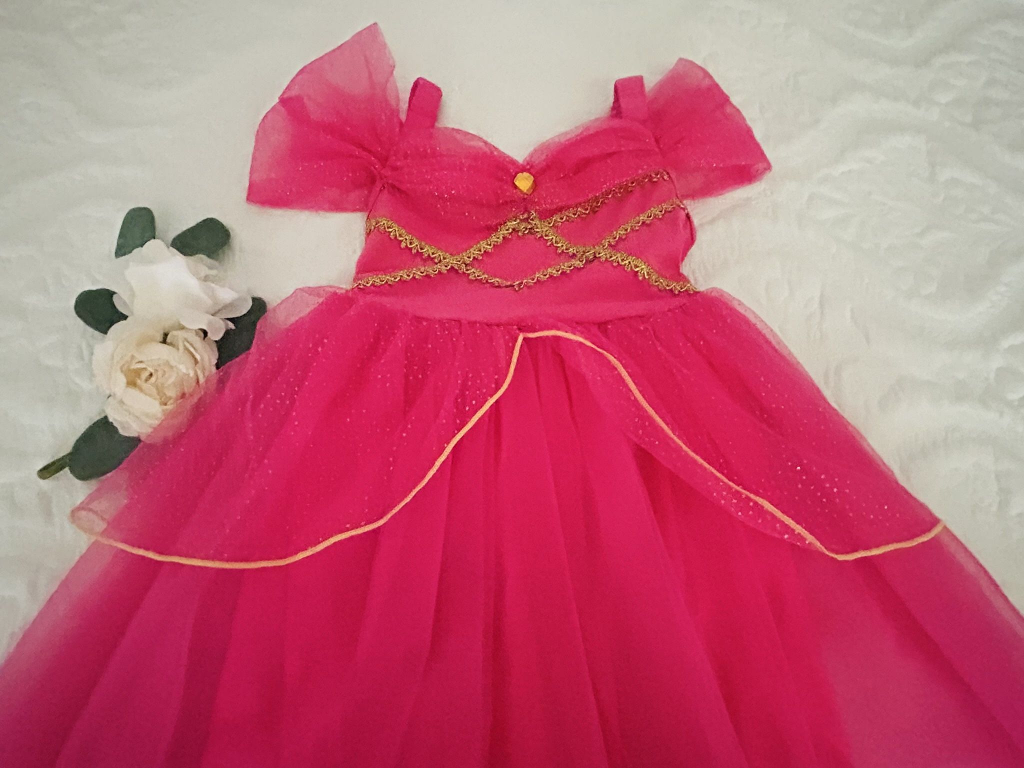 Aurora Princess Dress 4T