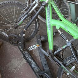 Scooter, BIKE, and birdcage