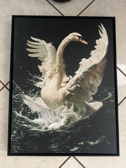 Swan wall art