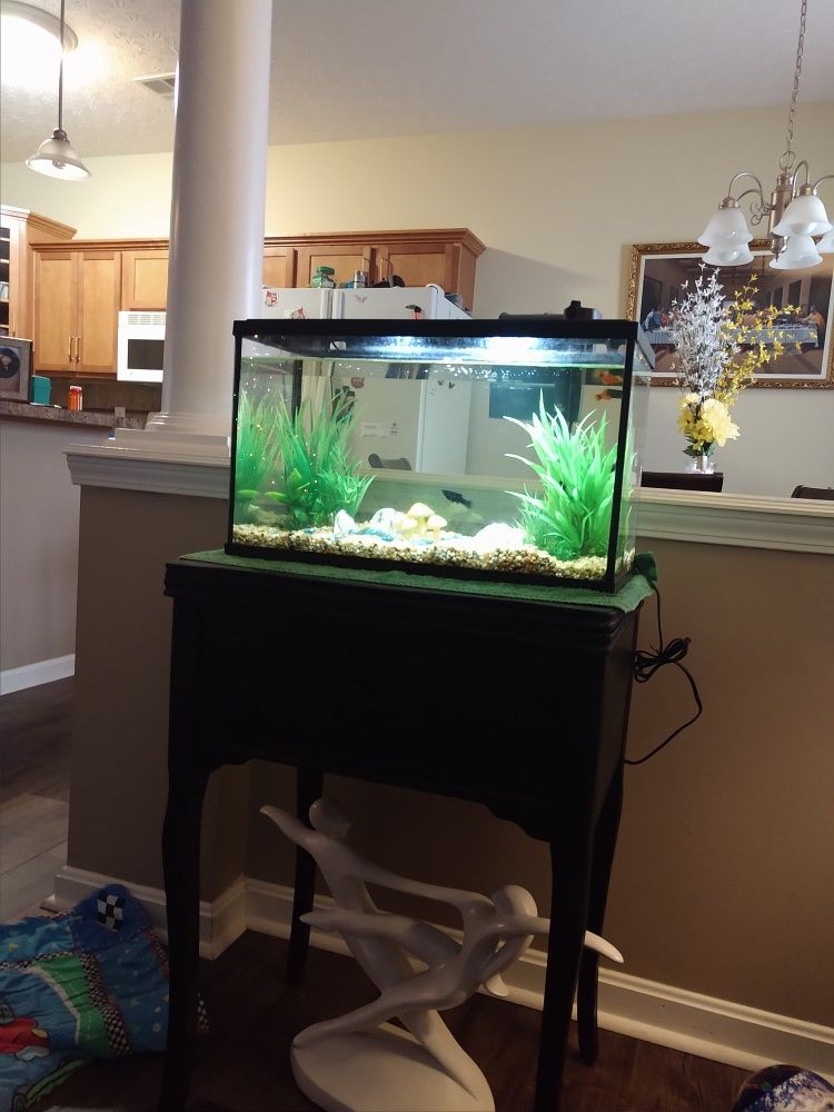 10 gal fish tank
