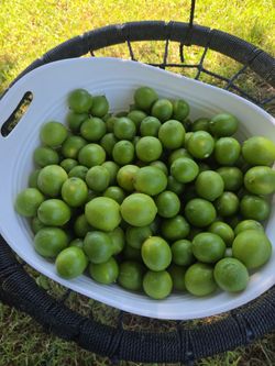 Limes fresh