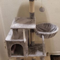 Base Para Gatos 