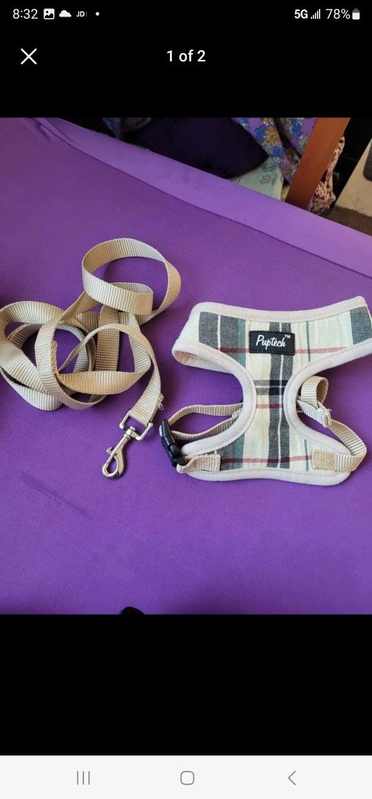 PUPTECK Small Pet Harness and Leash Set