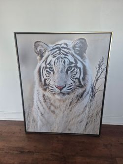 Large White Tiger Canvas Wall Art - Gold Float Frame