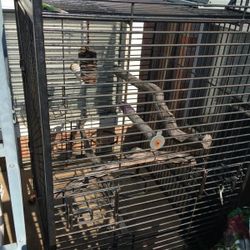 Black Heavy Duty Macaw Bird Cage