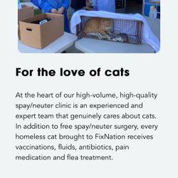 Free Spay/Neuter For 2 Cats