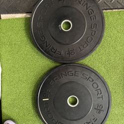 2 45lbs Rogue bumper Plates