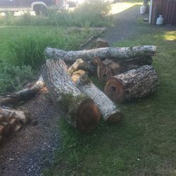Apple And Walnut Logs