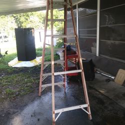 8 Foot Latter