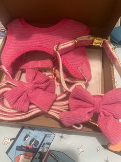 Small dogs leash & collar