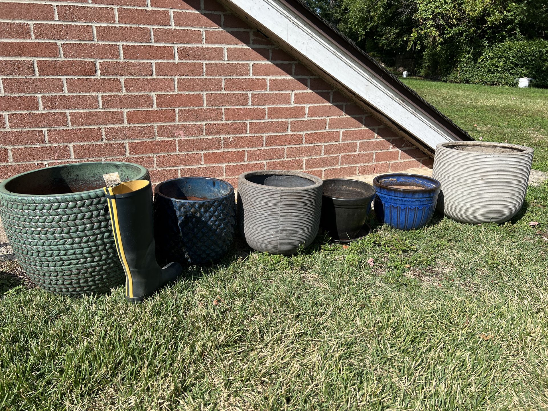Potted Plants: Fiddle-leaf Fig , ZZ, Yucca $25