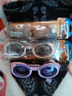 Doggles