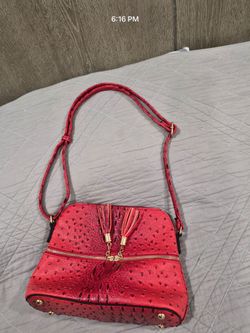 Female   Purse