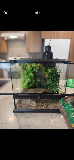 Exo Terra Glass Terrarium Setup with Accessories