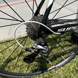 Cannondale  Bicicleta De Pista