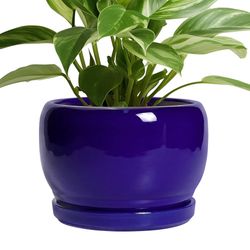 8 Inch Plant Pot - Ceramic Planter for Indoor Plants Outdoor, Ceramic Flower Pot with Drainage Hole and Saucer, Modern Round Planter, Bathroom Decor, 