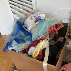 Toddler Girl Clothes /costumes