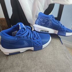 Men's size 10.5 LeBron