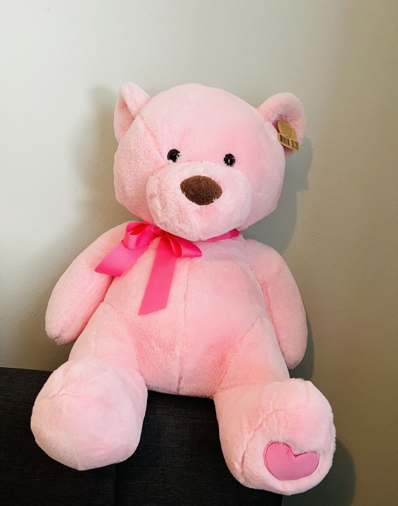 Pink Bear 21 Inches Tall 