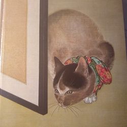 🐈 And Spider MMA Notebook