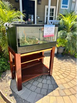 Large Reptile Tank and Stand