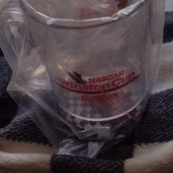 NASCAR Winston Cup Series Mugs No Chips Been In Storage Not Used Pair Of Two Cash Porch Pickup Redmond 