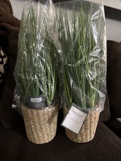 Artificial Leaf Arrangement