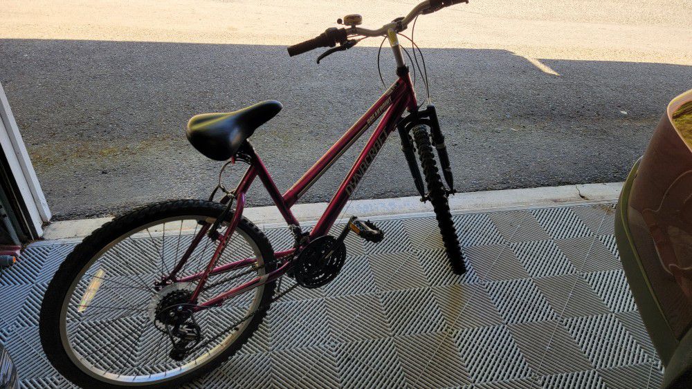 Dynacraft Purple Bike