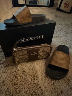 Coach purse and bag